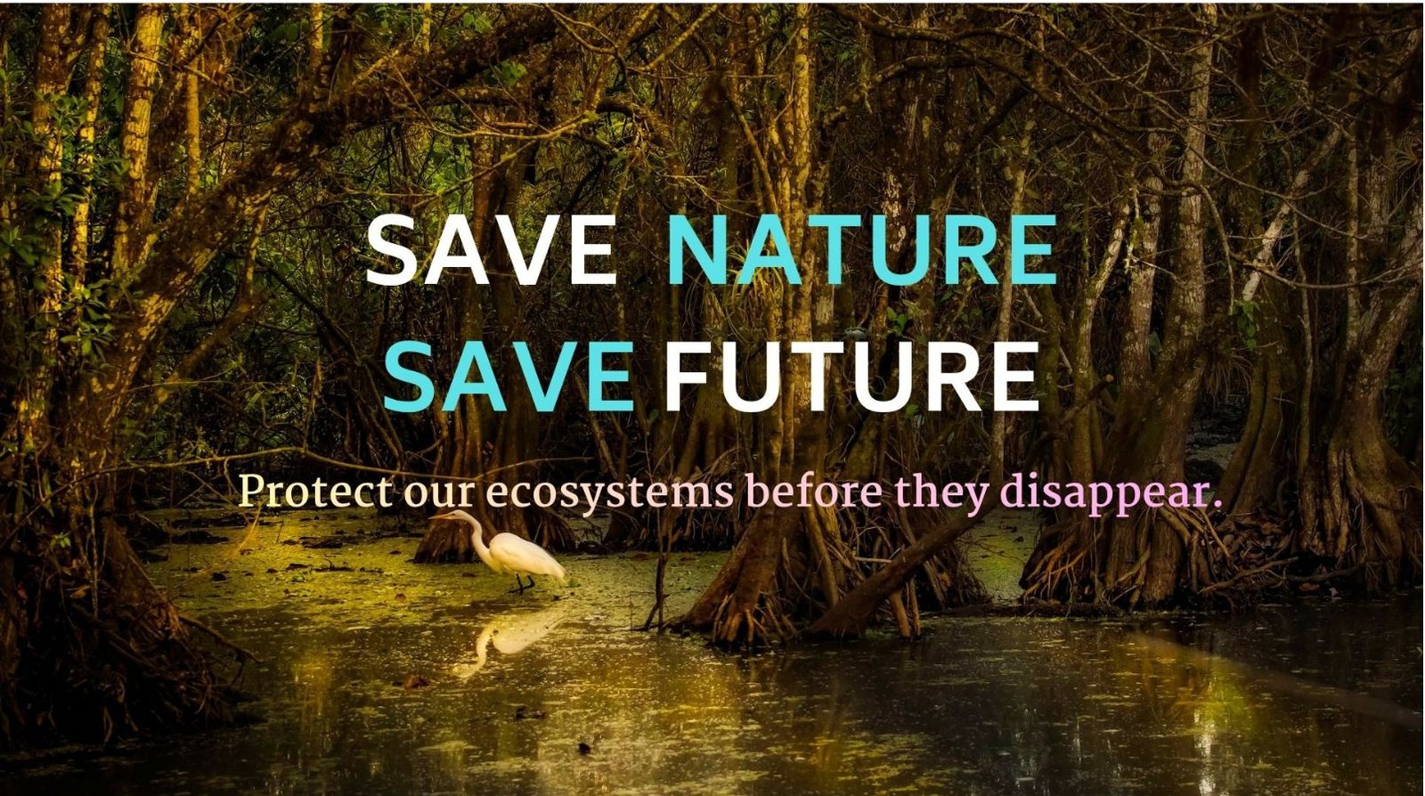 Clean river representing environment solution and pollution-free water